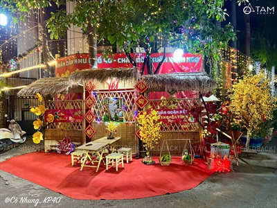 Cây Mai Vàng thân gỗ Cao 130 - 140cm CAYCANH-TET-02